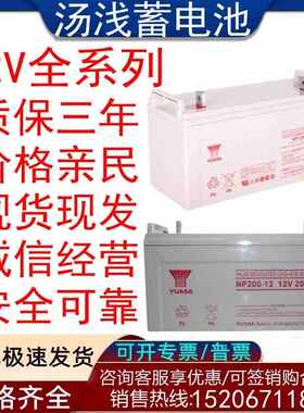 汤浅蓄电池NP/12V210AH/100AH/65AH/38AH/24AH铅酸免维护UPS EPS