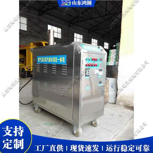 移动蒸汽洗车机 上门便携式洗车设备 Steam Car Washing