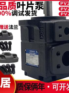 pv2r1叶片泵PV2R2液压帮浦总成pv2r3/4液压油泵压头齿轮泵配件大/
