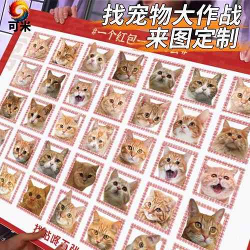 接亲先过猫猫关宠物猫咪狗狗宝子定制kt雪弗板小游戏婚礼堵门道具