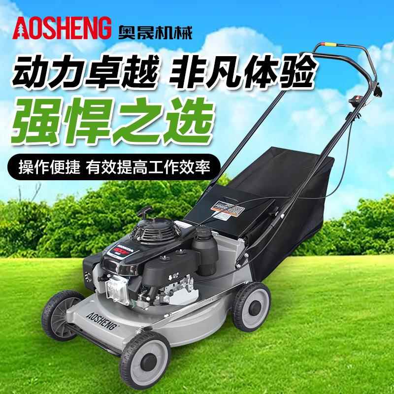 GXV160动力剪草机19寸铝合金底盘手推式草坪机割草机