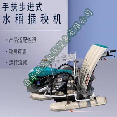 自由式6行种植机秧苗移栽机 电动水上漂手扶式轻型4行水稻插秧机