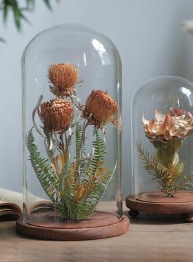 植物标本干燥花花艺摆件家居创意花瓶软装样板间书房橱窗展示台陈