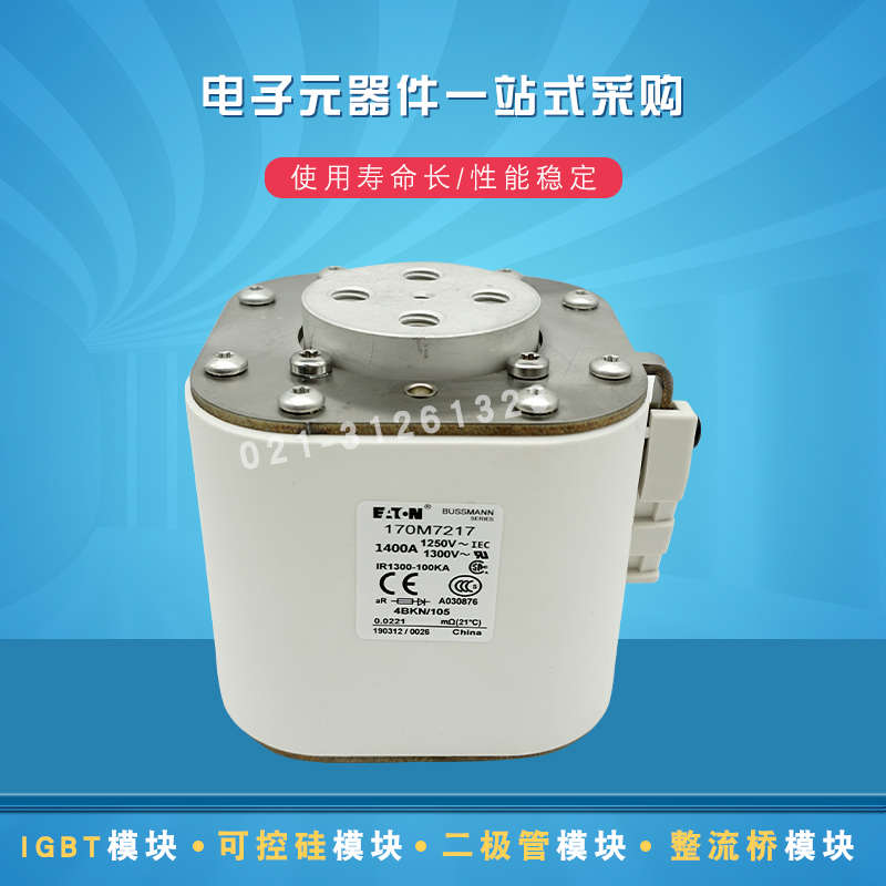 巴斯曼熔断器保险丝170M7227 7228 7229 7231 7235 7238 7239全新