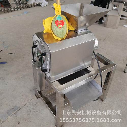 不锈钢红枣去核打泥机 荔枝樱桃去皮榨汁机 蓝莓草莓打浆机