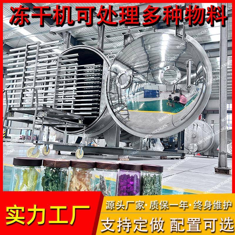 干冻果干蔬TAE真空冻机水果冻干机设备草机莓真空冷冻干燥机