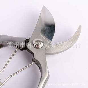 剪枝条修剪各花艺粗剪花艺插花插花流派专用修枝剪刀师盆景专业枝