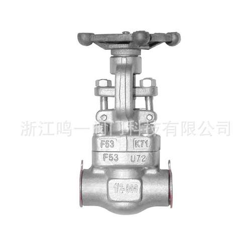 双相不锈钢S2205F51555耐强腐蚀锻钢锻造承插焊对焊限流孔闸阀