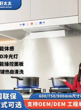 白色抽油烟机小户型公寓小尺寸600750mm宽家用厨房顶吸厂家