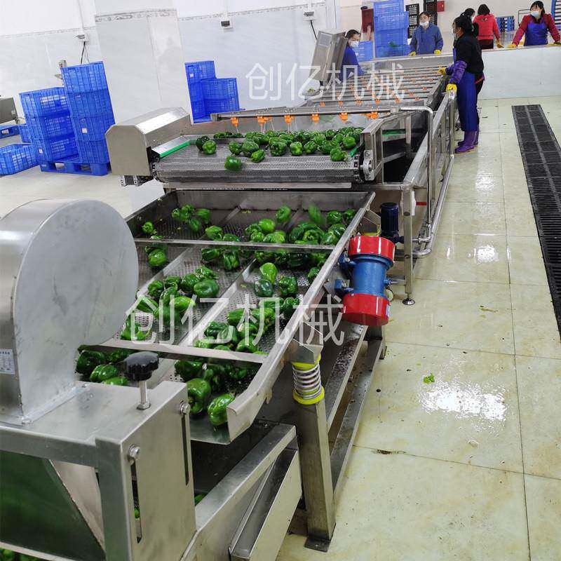 净菜全自动气泡清洗机豌豆喷淋清洗设备玉米去须洗菜机