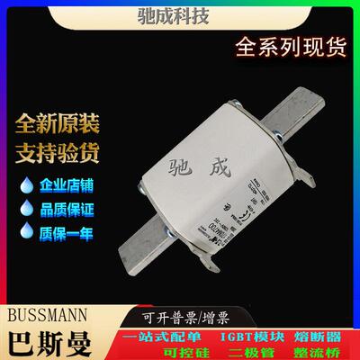巴斯曼170M4734 170M4738 170M4739 大量现货直销价优 高速熔断器
