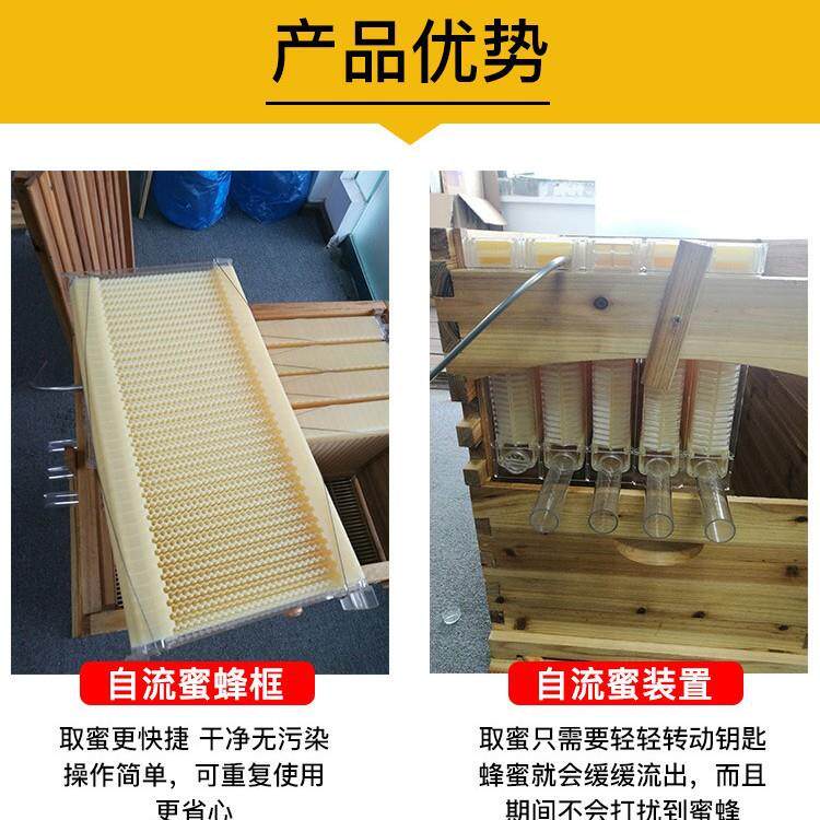 出口型自流蜜蜂箱自流蜜蜜脾全套自流蜜装置7框蜜脾含蜂箱隔王板
