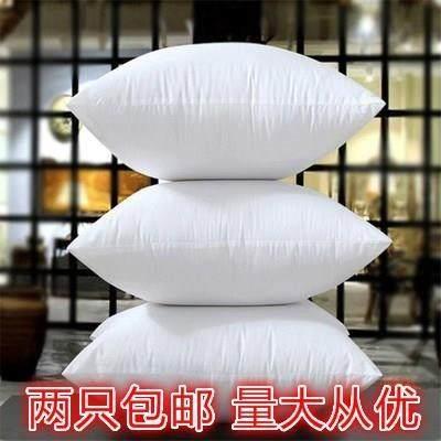core/ pillow core 45x45/ 50X50/ 55X55/ 60X60/ 65x65cm - 实物图