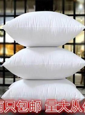 core/ pillow core 45x45/ 50X50/ 55X55/ 60X60/ 65x65cm