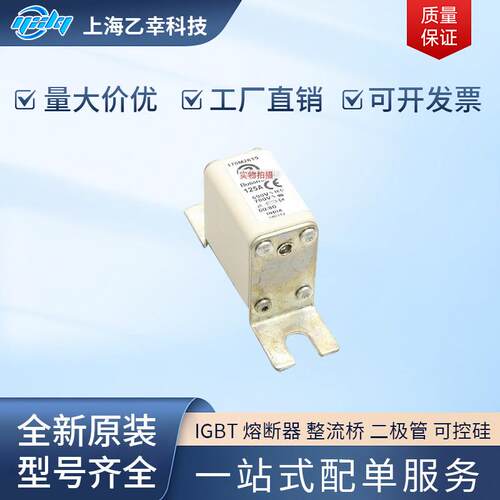 巴斯曼熔断器 170M2010 170M2011 170M2012 170M2013 170M2014