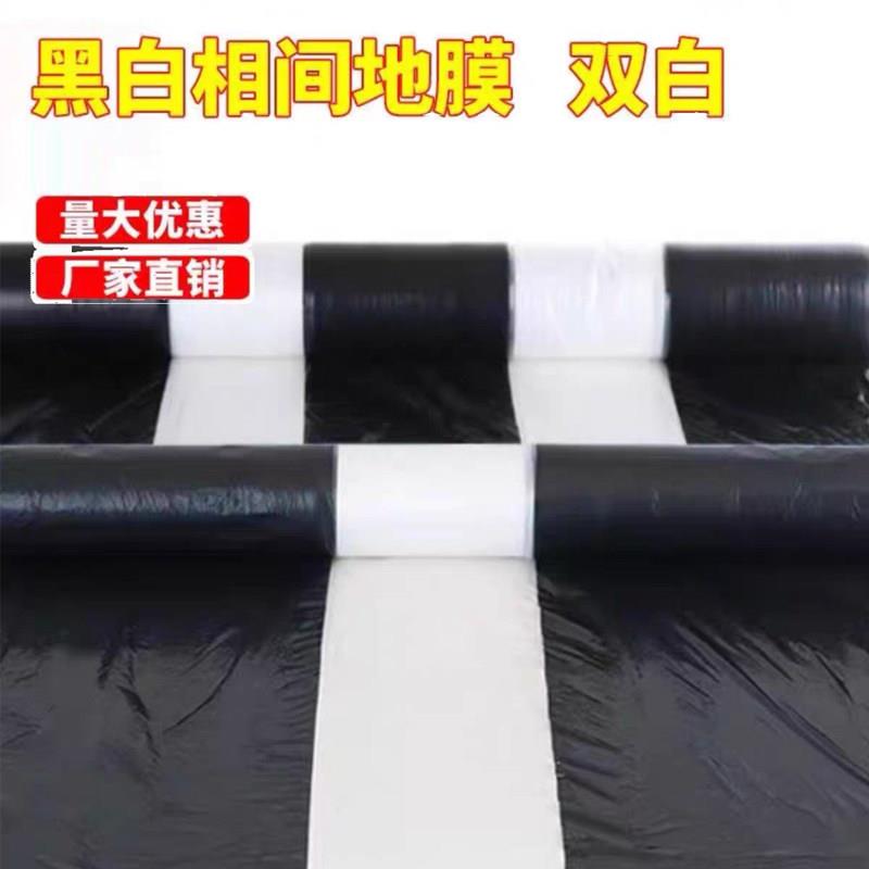 单白双白地膜农用种植黑白相间地膜除草膜保温保湿塑料薄膜大棚膜