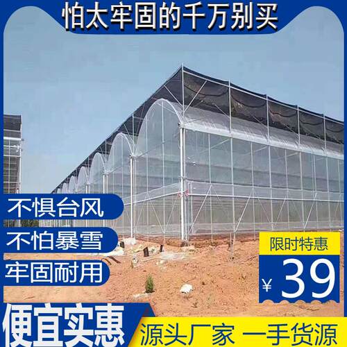 连体温室大棚骨架联动外遮阳蔬菜养殖种植大棚钢管支架简易蔬菜棚