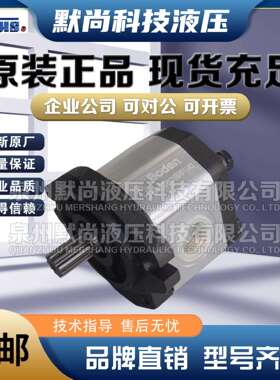 油泵登胜JANUS齿轮泵BKP1Q0-D-0.8/1.1/1.3/1.6/1.8/2.1液压泵