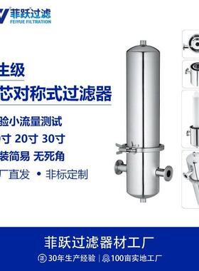 菲跃不锈钢芯对称式实验室精密测试液体过滤器钛合金保安过滤器