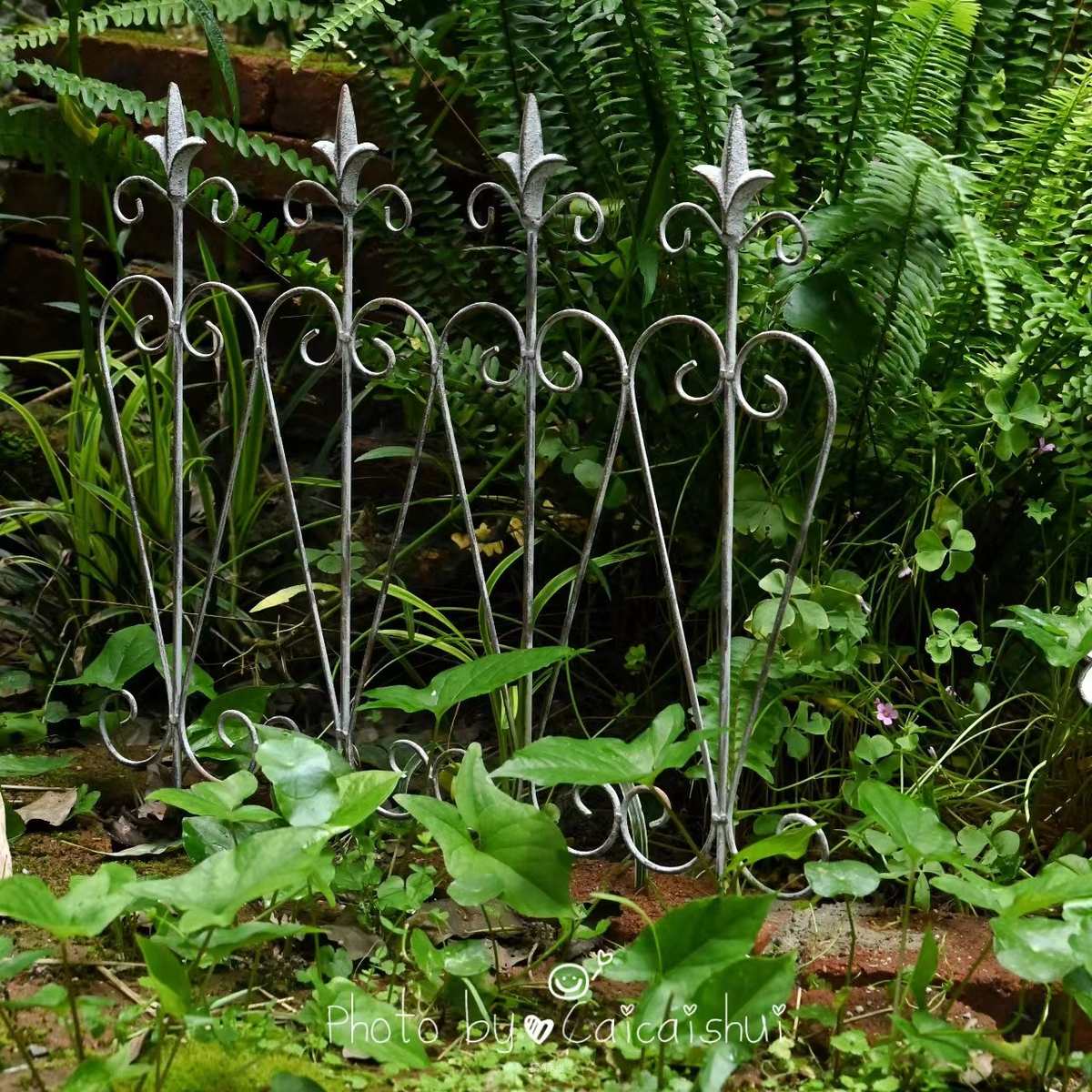 实心栅栏铁艺户外花园坛隔断庭院装饰篱笆矮护栏花架子支架花插