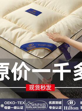 五酒床店加软垫家用卧室褥子厚榻榻米垫子单垫人宿舍LSF保暖垫被