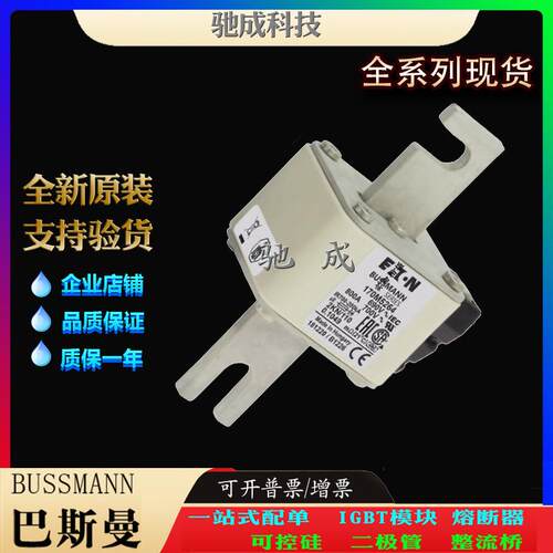 巴斯曼170M5263 170M5264 170M5265 现货供应质优价廉 快速保险丝