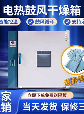 大学实验室电热恒温鼓风干燥箱温工业烘箱工业烤箱恒温箱老化箱