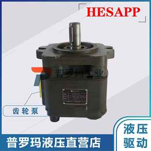 4032 HESAPP高压齿轮泵内啮合齿轮泵BIG4040H 4025 4050 A01FR