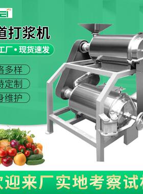 厂家水果去核打浆机果蔬打浆机大型双道打浆机可按需设计生