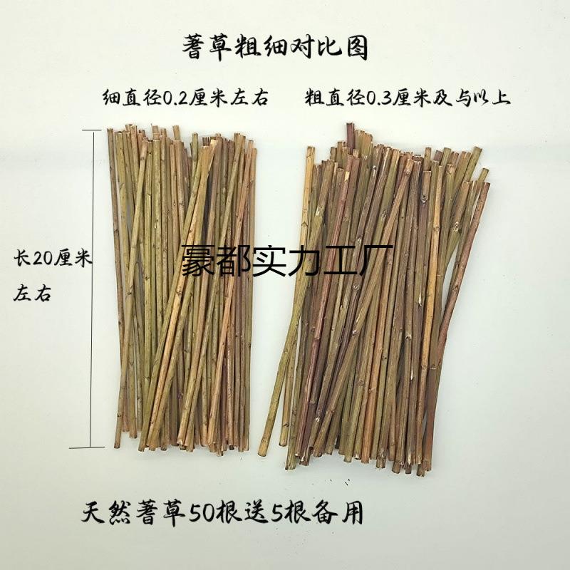 易经文化用品真品文王蓍草支送支筹策算筹算工具术数豪都