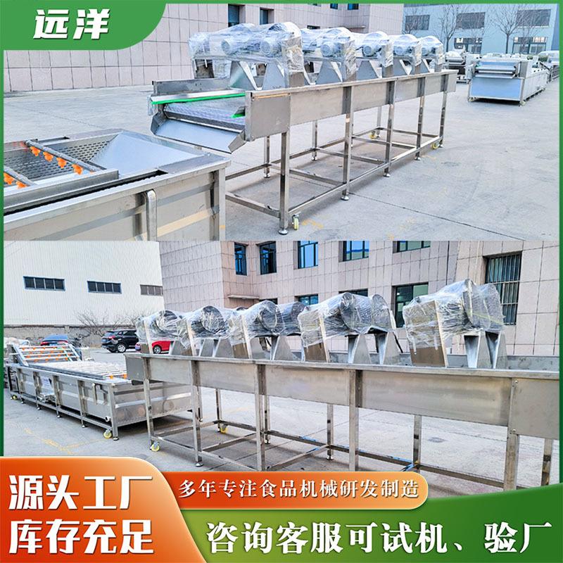 果蔬清洗风干线小柿子百香果清洗风干沥水机枸杞芽清洗风干机