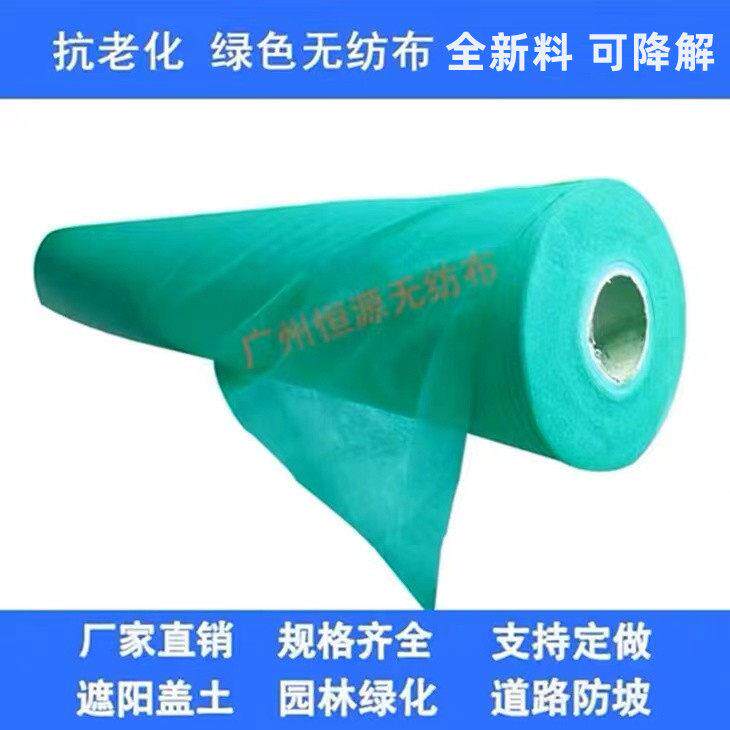绿化不织布绿色膜园林工地防尘盖土布护坡边坡草坪种草不织布整卷