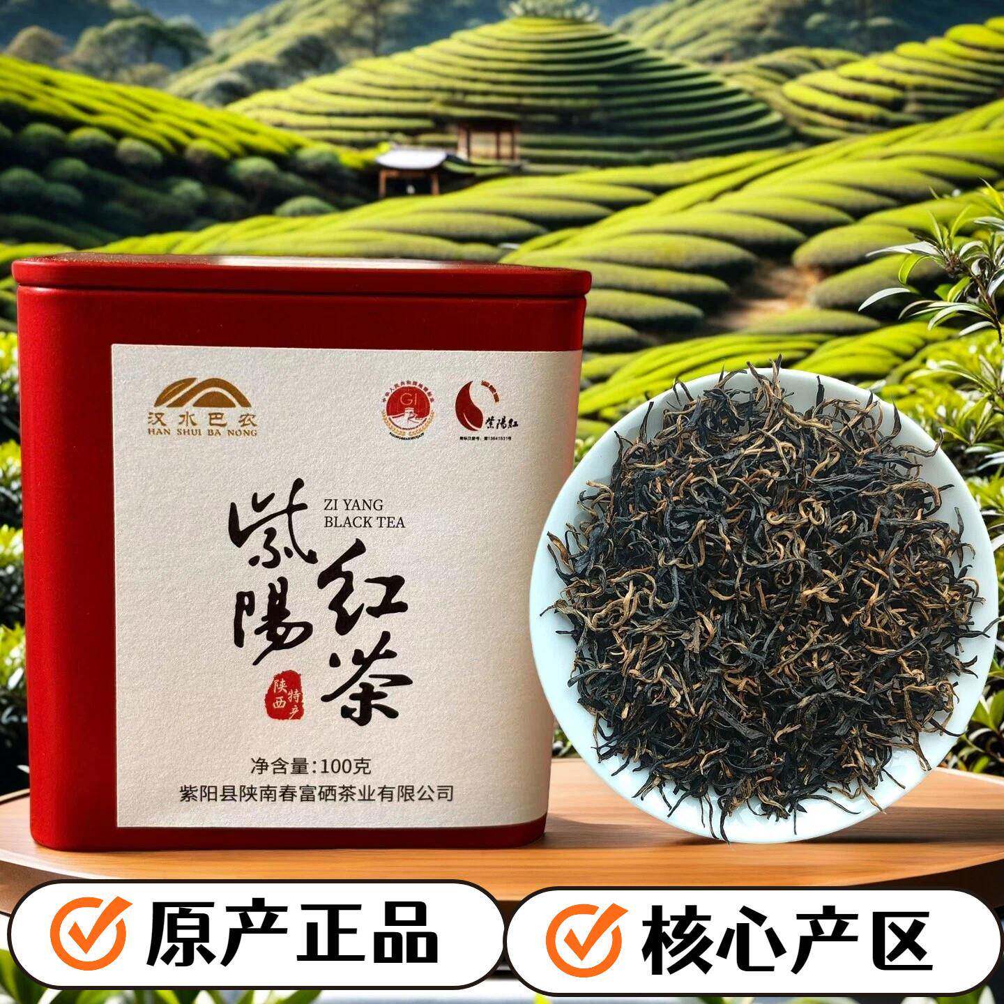 2025新茶安康紫阳富硒茶 产区紫阳红茶特级春茶明前红茶100克罐装