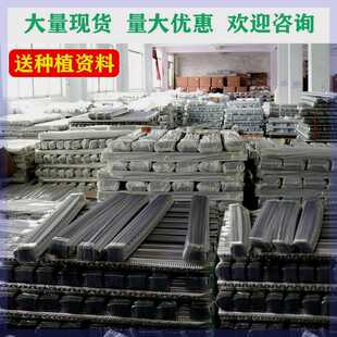 【量大超实惠】淮山种植槽山药种植槽浅生槽加厚`塑料定向槽u型