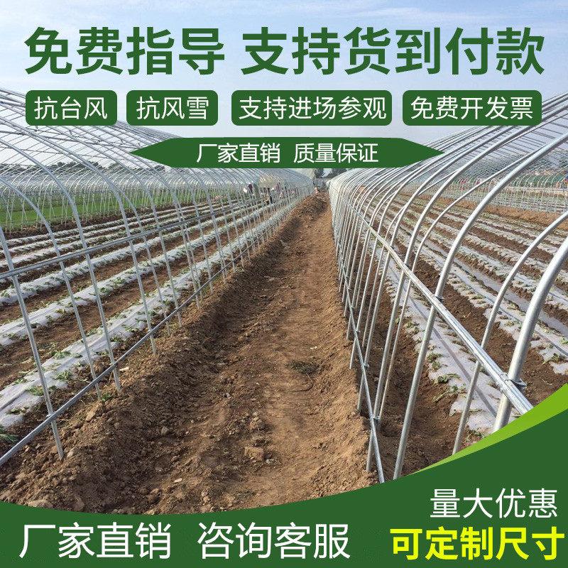 大棚钢管骨架养殖温室种植暖棚椭圆管连身大棚钢架蔬菜热浸镀锌全