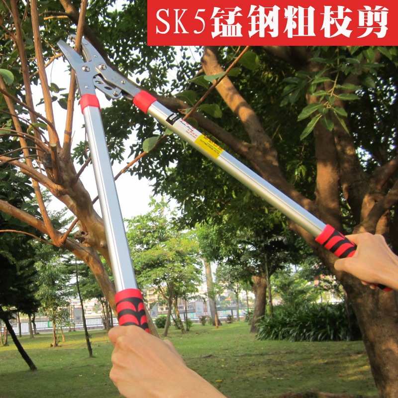 黄师傅剪枝剪 粗枝大力剪 SK5钢剪树枝剪刀 果树修枝剪园林剪刀