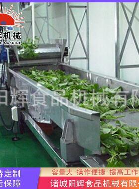全自动果蔬清洗机设备海葡萄清洗机设备白菜气泡清洗机设备