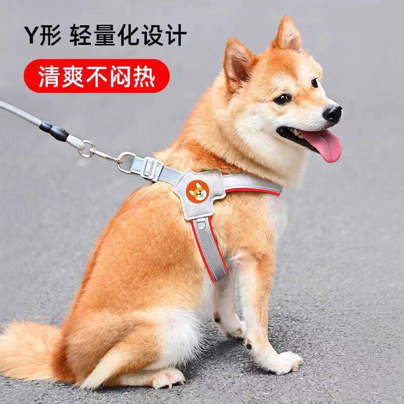 新款狗狗牵引绳胸背带背心式宠物遛狗绳中小型柴犬犬法斗柯基脖圈