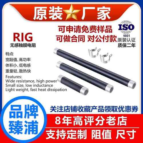 RIG厚膜釉膜陶瓷无感大功率负载电阻充电预充50W100W200W500W欧姆