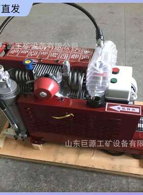 100L空气充填泵工作可靠呼吸空气充气泵厂家直供WG22空气充填泵