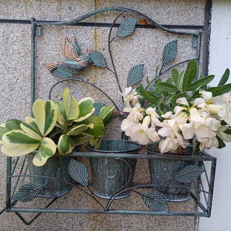 外贸爆款美式做旧小鸟三桶壁挂花桶庭院阳台墙壁装饰杂货,住宅家具,花架/花几,淘宝优惠券,粉丝福利购,淘宝优惠卷