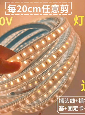 超亮20cm一剪LED灯带220V2835任意剪120珠暖光白光色防水灯条吊顶