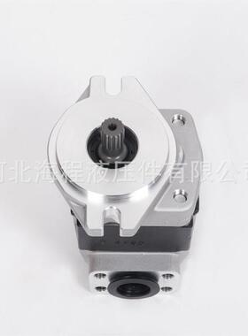 厂家直销CBHE-F系列齿轮泵GPY8R712-080齿轮泵徐州凯尔机型配