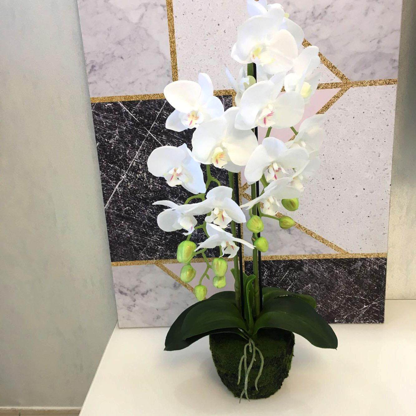 家居装饰仿真蝴蝶兰盆栽手感仿真假盆景酒店大堂装饰摆件植物
