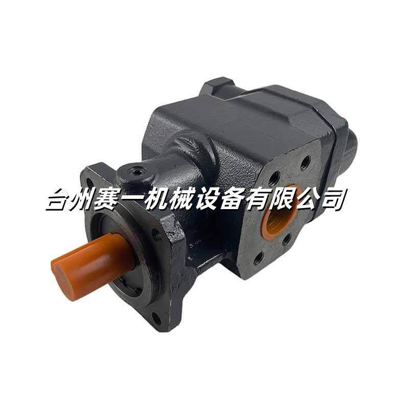 F100RF1RF2D15F63-RF2F80RF6克拉赫特齿轮泵