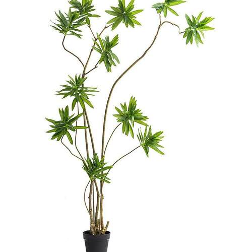 百合竹仿真绿植大型室内仿生绿植假盆栽仿真植物盆景客厅落地摆件