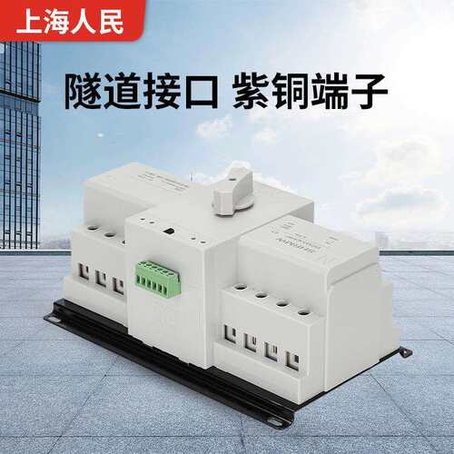 双电源自动转换开关2P家用220V单相 CB级微断型迷你双电源4P 63A
