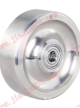 3钢4锈寸5寸460DR30S全304不锈定向轮|SUS304全不钢寸脚轮厂家|佳