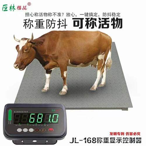 电子地磅1吨3t5t地秤小地磅称畜牧称重物流仓储工业工地工厂地磅