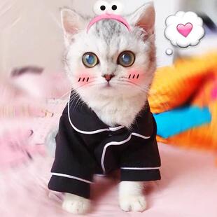 猫衣服宠物春秋睡衣泰迪波美拉尼亚马尔济斯布娃娃蓝色小猫可爱的